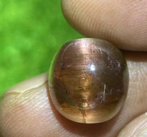 10.57 Cts | natural loose" Tourmaline Cat's eye | Bi color | Cabochon Shape - Picture 1 of 5