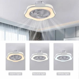 20'' Enclosed Ceiling Fan with Lights LED Warm Natural White Light 3 Wind Speed - Picture 1 of 12