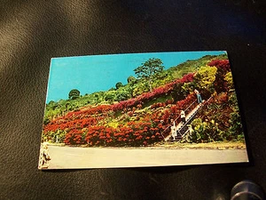 Old Vintage Postcard- Machado Gardens, Kealakekua, Hawaii - Picture 1 of 2