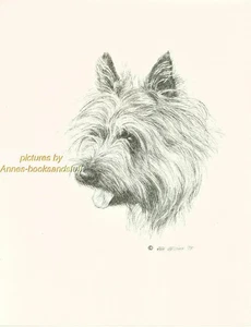 #77 CAIRN TERRIER portrait dog art print * Pen and ink drawing * Jan Jellins - Picture 1 of 9