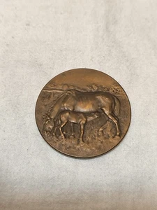 100 Jahre alte Bronze Medaille Pferde Stute + Fohlen Grüne Messe Bielefeld 1925 - Bild 1 von 21