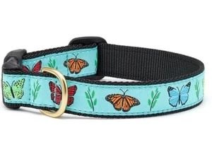 Up Country Dog Collar, Butterfly Effect, Adjustable Made In USA, XS S M L XL XXL - Picture 1 of 2