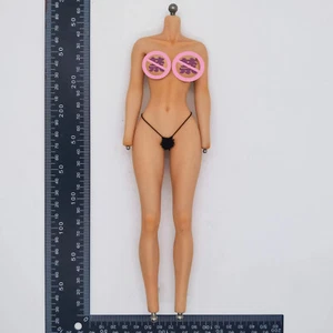 Cuerpo y ropa interior para figura VERYCOOL VCF-2065 Maid escala 1/6 - Imagen 1 de 1