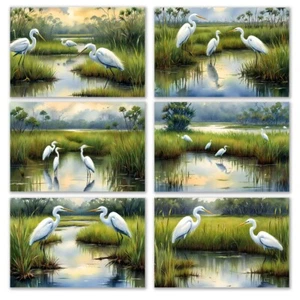 6 Assorted All Occasion Note Cards Blank Greeting Cards Marshland Egrets - Picture 1 of 3