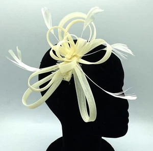 Dee Taylan Ladies Feather Beak Clip Weddings Races Ascot Hair Piece Fascinator - Picture 1 of 18