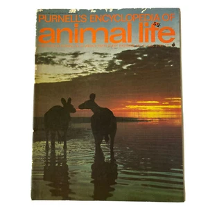 Purnell’s Encyclopedia Of Animal Life Magazine Volume 3 Number 12 - Picture 1 of 7