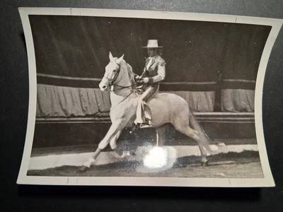 1940c presse foto 13x18 MOESER JOSÉ - HOHE SCHULE im CIRCUS BUSCH cirque photo - Bild 1 von 2