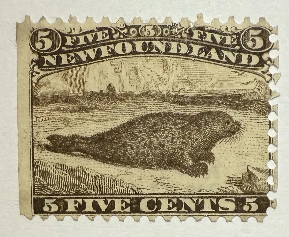 Newfoundland #25 1870 5c brown “Harp Seal” perf 12 MNG/SE;  $400 UCV - Image 1 of 3