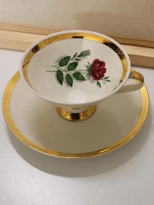 Vintage Mitterteich Bavaria Germany Porcelain Teacup and Saucer Set. Floral - Picture 1 of 5