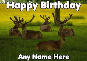 Deer Stag heard Happy Birthday codedee A5 Personalised Greeting Card - Picture 1 of 1