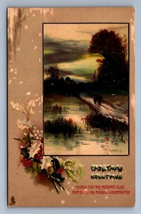 Postcard Vtg Tuck's Christmas Holiday Greetings Winter Nature Holly - Picture 1 of 2