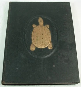 THE TERRAPIN 1937 UNIVERSITY OF MARYLAND ANNUARIO FREDDRIC MARCH - Foto 1 di 6