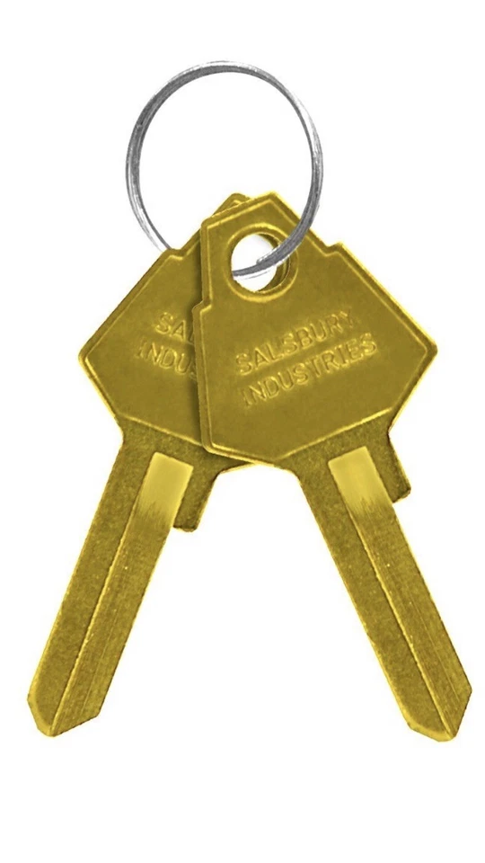 Salsbury Industries 2099 Key Blank-Pair(2 Keys)-Standard Lock/Brass Mailbox/Post - Image 1 of 1
