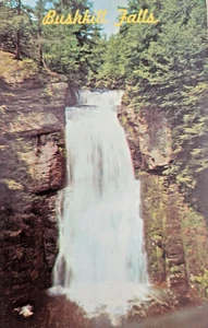 Bushkill Falls Postcard The Niagara of Pennsylvania in the beautiful Pocono Mts - Picture 1 of 2