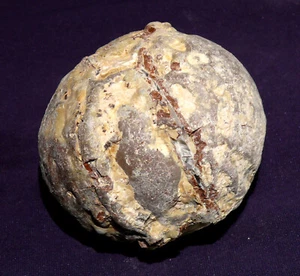Thunderegg ganze Knolle Achat Buchanan Oregon 218,0g 60x53x53mm - Bild 1 von 5