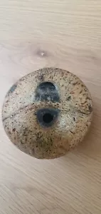 Rare ONE EYE COCONUT FENSHUI VASTU Thai - Picture 1 of 5
