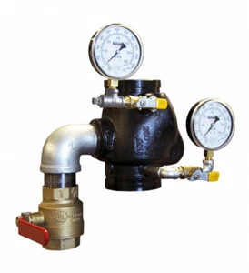 RELIABLE Model G 6" Riser Swing Check Valve w/ Model 4RTG Trim Package - Picture 1 of 10
