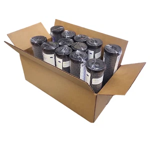 Pentek C1 / 155002-43 Carbon Impregnated Cellulose Filter 2.5x10 5 Micron 12 Pk - Picture 1 of 2