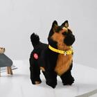 Cadeaux d'anniversaire de jouet de chien électrique Animal de compagnie