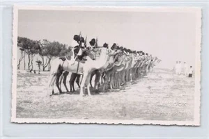 MAURETANIEN - Meharistisches Pelett - ECHTES FOTO - Veröffentlichung. E. Sursock - Bild 1 von 2