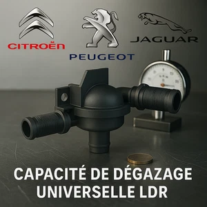 Capacité de dégazage universelle LDR – Citroën Peugeot Jaguar – Même pièce  🇪🇺 - Picture 1 of 6