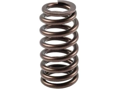 Muelle de válvula para Lincoln MKT 2010-2019 72997 MKVY 2011 2012 2013 2014 2015 2016 Foto 1 de 2