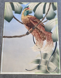 1940s Shirrell Graves Signed Tropical Bird Airbrushed Watercolor Painting. - Picture 1 of 2