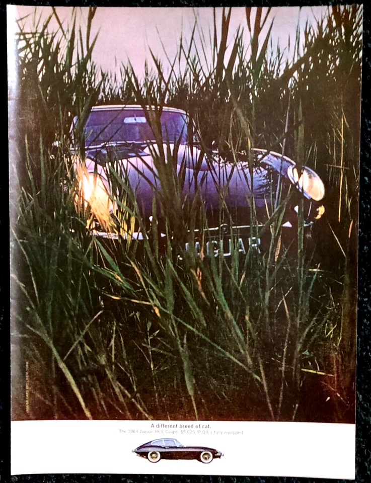 Jaguar XK-E Coupe Original 1964 Vintage Print Ad - Image 1 of 1