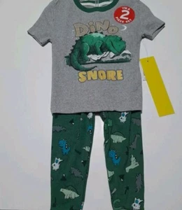 Boys 2pc Snug Dinosaur Pajama Set Green & Grey Size 12 Months Nwt Pants/ Tshirt - Picture 1 of 7