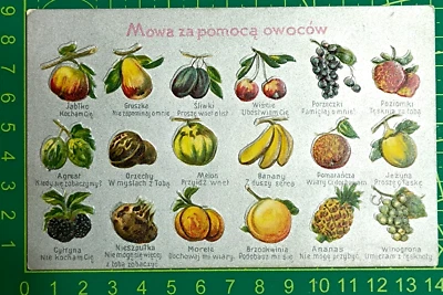 Polland postcard 1910, Best Fruit J. Klein Krakow, unused - Image 1 of 4