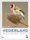 Nederland 2013 Ucollect Putter (bruin) vogel bird oisseau  postfris/mnh