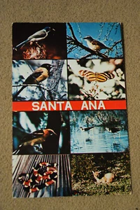 Santa Ana National Wildlife Refuge - Picture 1 of 2