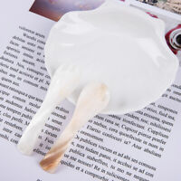 2Pcs Natural Conch Shell Spoon Condiment Coffee Caviar Spoons Cosmetic CreR1