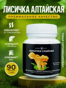 Dried Chanterelle, Capsules Dietary Supplement collected in the forests of Altai - Picture 1 of 6