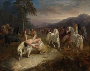 John Frederick Herring Sr Mazeppa Canvas Print 16 x 20 - Picture 1 of 4