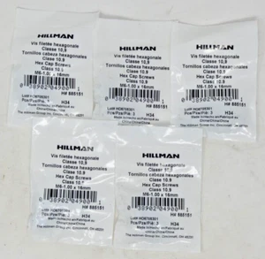 5 confezioni di viti a tappo esagonale Hillman M6-1,00 x 16 mm classe 10,9 885151 - 15 bulloni - Foto 1 di 5