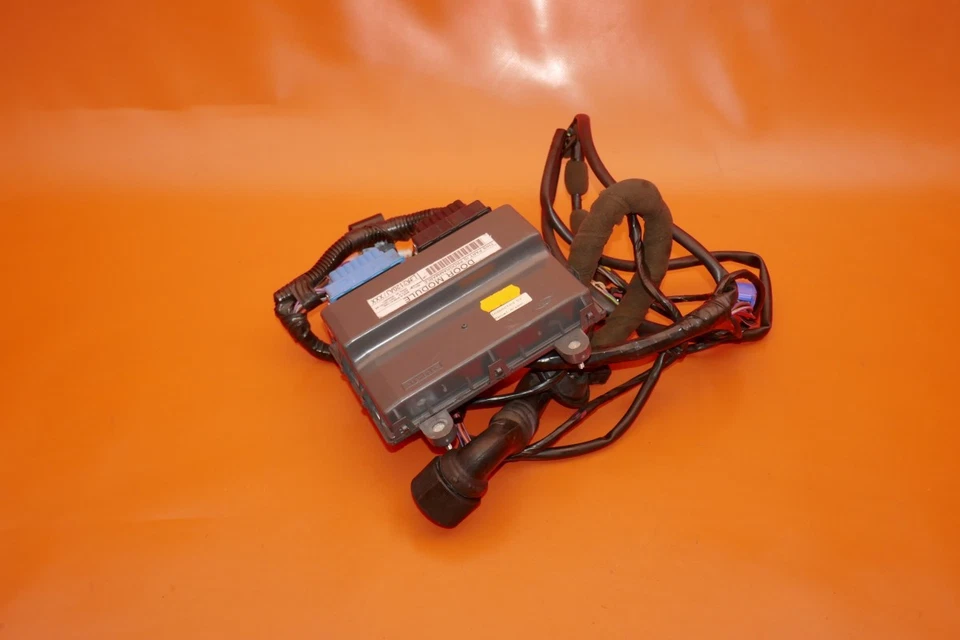 JAGUAR XK8 ARNÉS DE CABLES PUERTA DERECHA 1997 1998 1999 2000 2001 2002 2003 LJC3190BD Foto 1 de 4