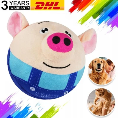 MARKENLOS Interaktives Katzen Ballspielzeug Rollender Ball fluchtball Wiederaufladbar USB