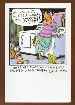 Tarjeta de felicitación de humor para adultos, todas las ocasiones, dama en lavadora Yessssss, divertida Foto 1 de 3