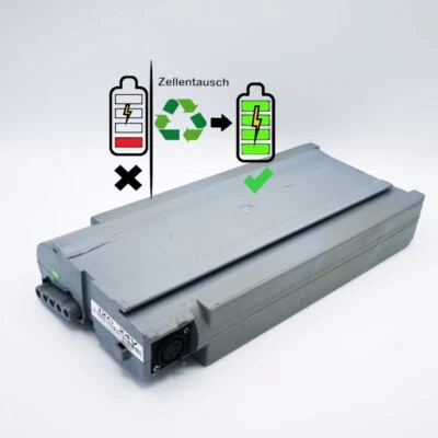 TRANZX Zellentausch Tranz X BL-03 Li Ionen Akku 24V 10Ah 11Ah 14Ah 19,5Ah