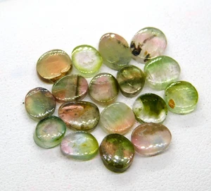 Natural Green Tourmaline Slices 17 Pc Bio Color Tourmaline Gemstones Lot 13.8 Ct - Picture 1 of 7