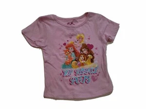 Disney Princess Palace Place Toddler Girls T-Shirts 3T or 4T NWT (P) - Picture 1 of 1