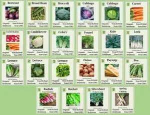 ORGANIC, NON-GMO, NON-HYBRID, HEIRLOOM Vegetable Seeds - Autumn/Winter Planting - Picture 1 of 21