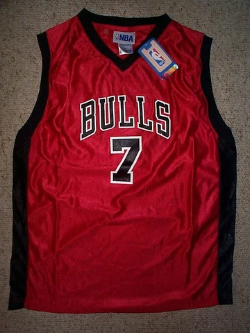 Chicago Bulls BEN GORDON nba Jersey YOUTH KIDS BOYS CHILDRENS (L-LG-LARGE) Cover
