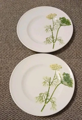 Dibbern Herbaticum 2  Kuchenteller Frühstücksteller Dessertteller Salbei Ø 19cm - Bild 1 von 3