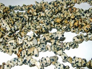 Drilled Hard Stones - Chips - 100 pcs - Dalmatian Jasper - Picture 1 of 1
