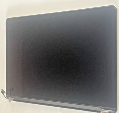 Apple MacBook Pro 15" A1398 Late 2013 2014 LCD LED Display Assembly - SK#1 - Image 1 of 4