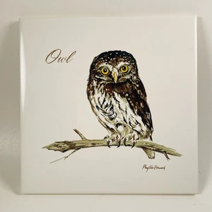 Eule Fliese Untersetzer Wandbehang Kork Rückseite Screencraft Phyllis Howard Künstler 6 Zoll - Bild 1 von 7