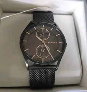 Skagen Holst 40mm Chrono Gray Dial Steel Mesh Band Men's Watch SKW6180 - Picture 1 of 7
