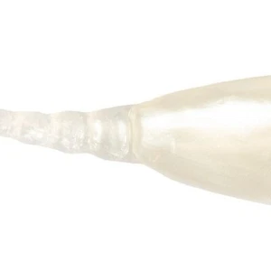ZMAN Micro Finesse 2" StingerZ MST-84 Pearl 24 count - Picture 1 of 1
